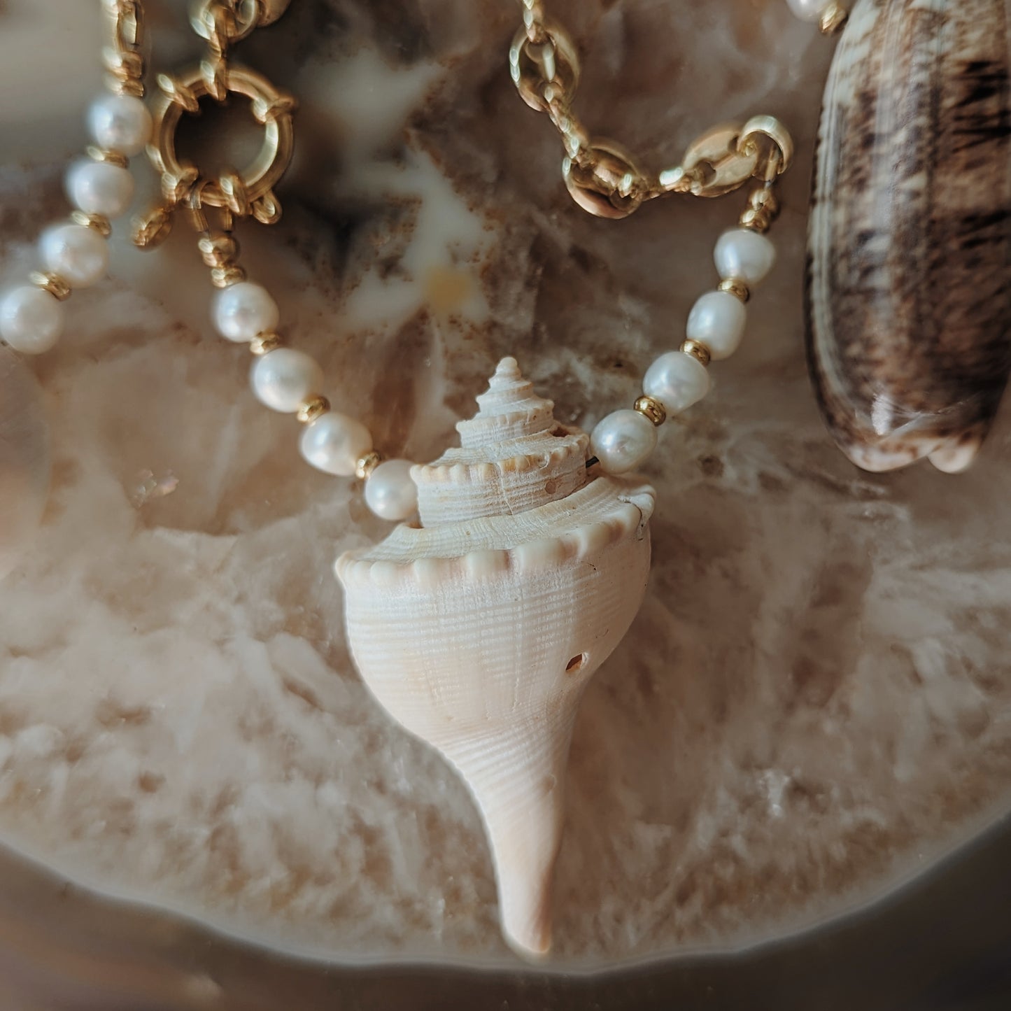 Seashell and Fresh Water Pearl Mariner Chain Necklace