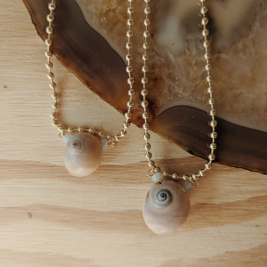 Moon Snail Seashell Necklace