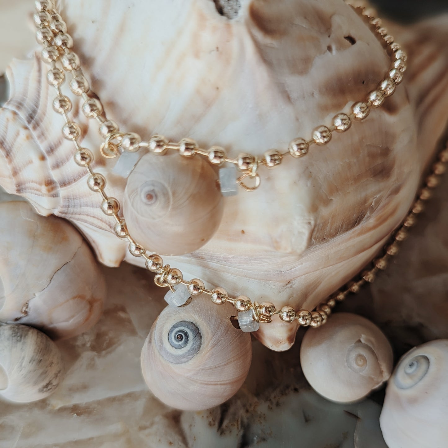 Moon Snail Seashell Necklace