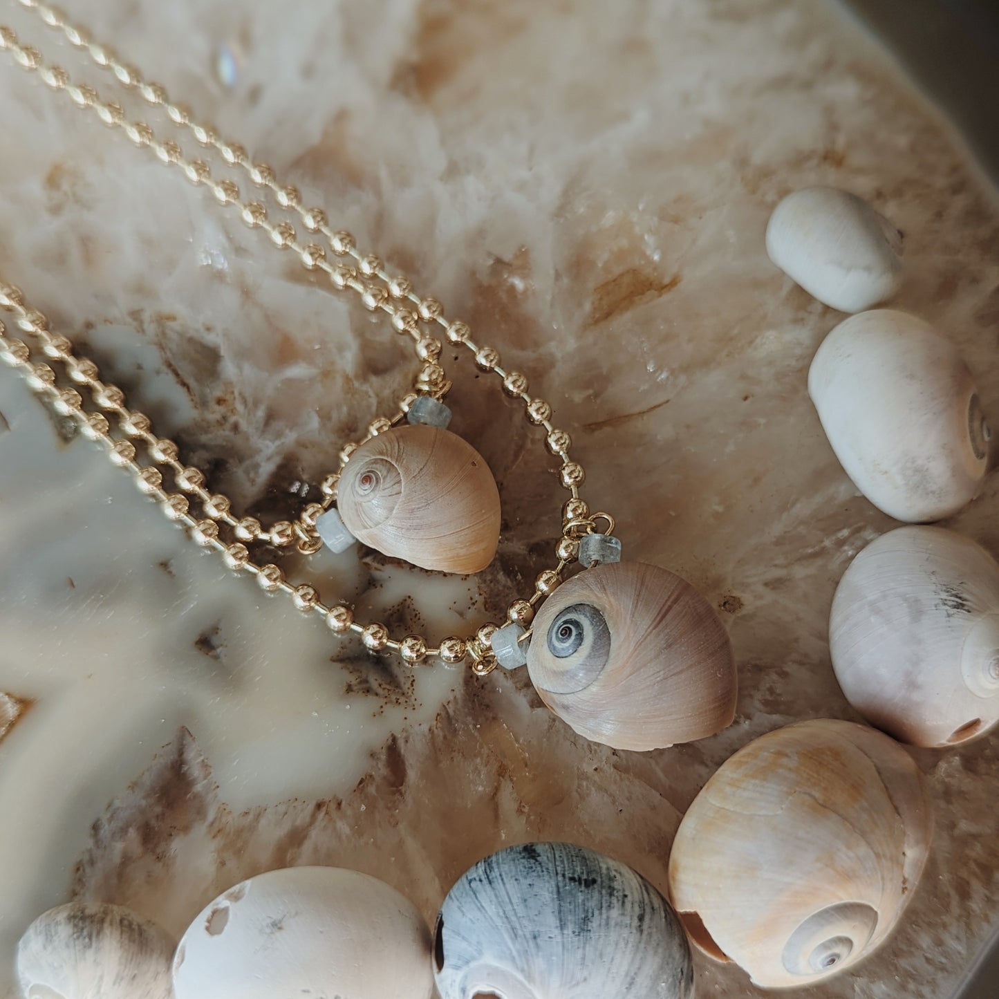 Moon Snail Seashell Necklace