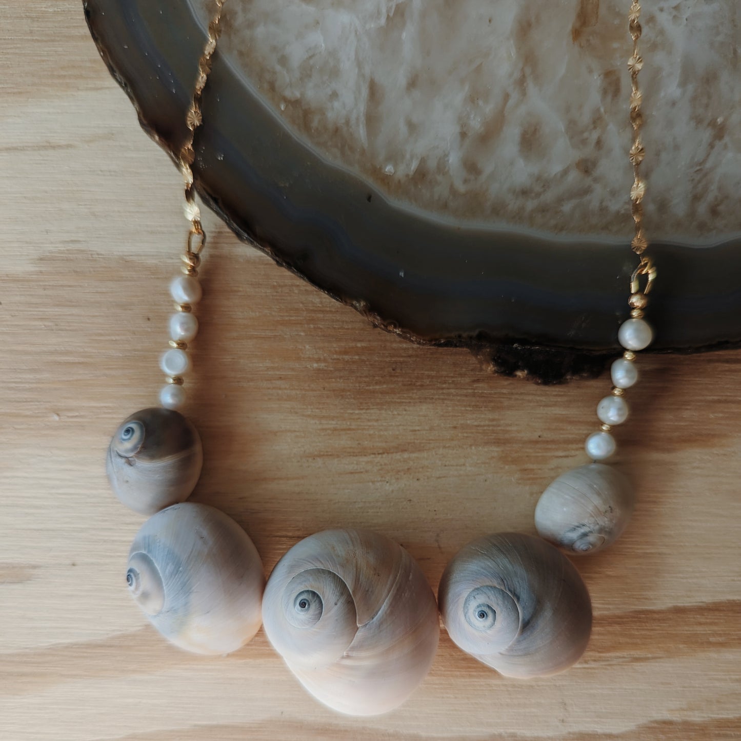 Moon Snail and Freshwater Pearl Seashell Necklace