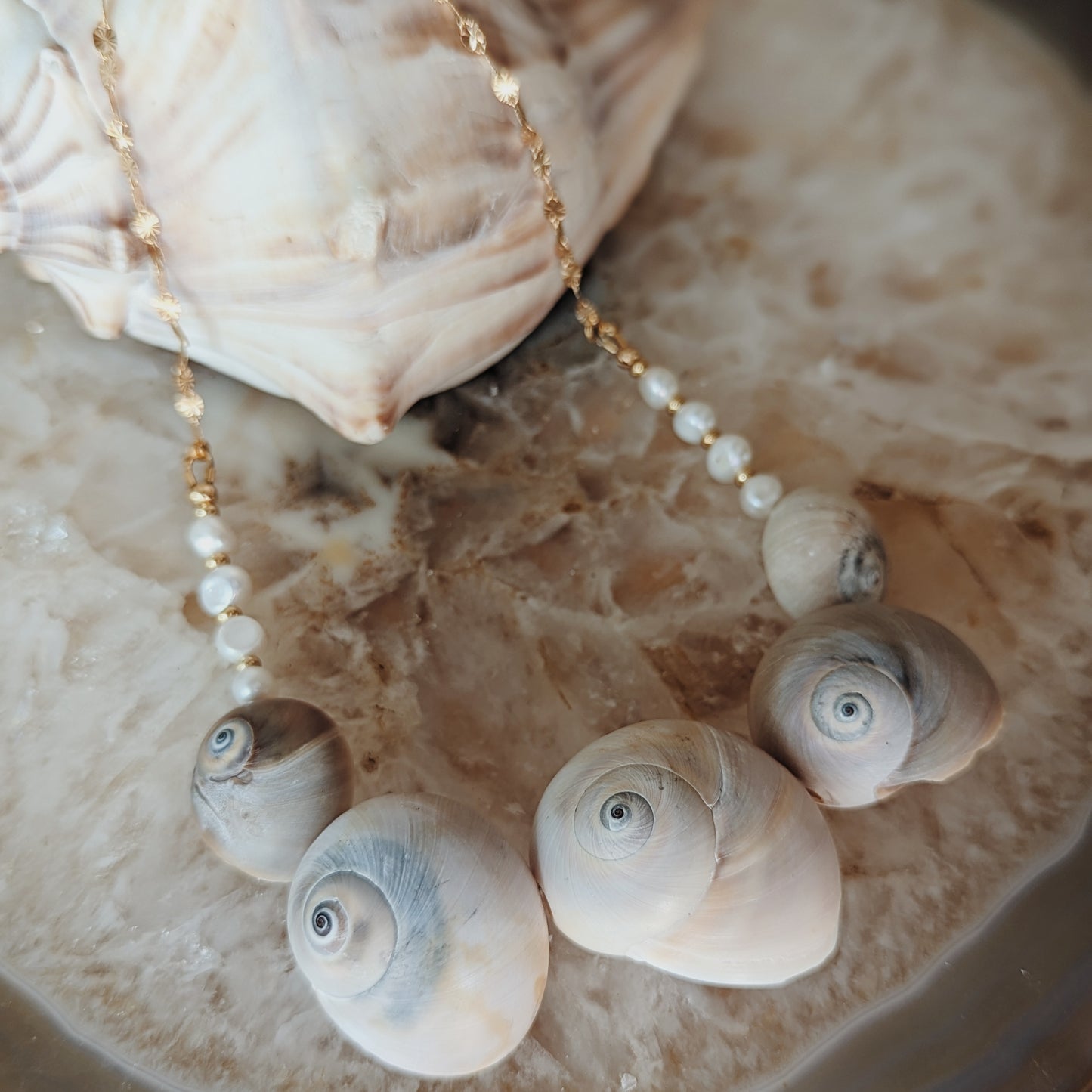 Moon Snail and Freshwater Pearl Seashell Necklace